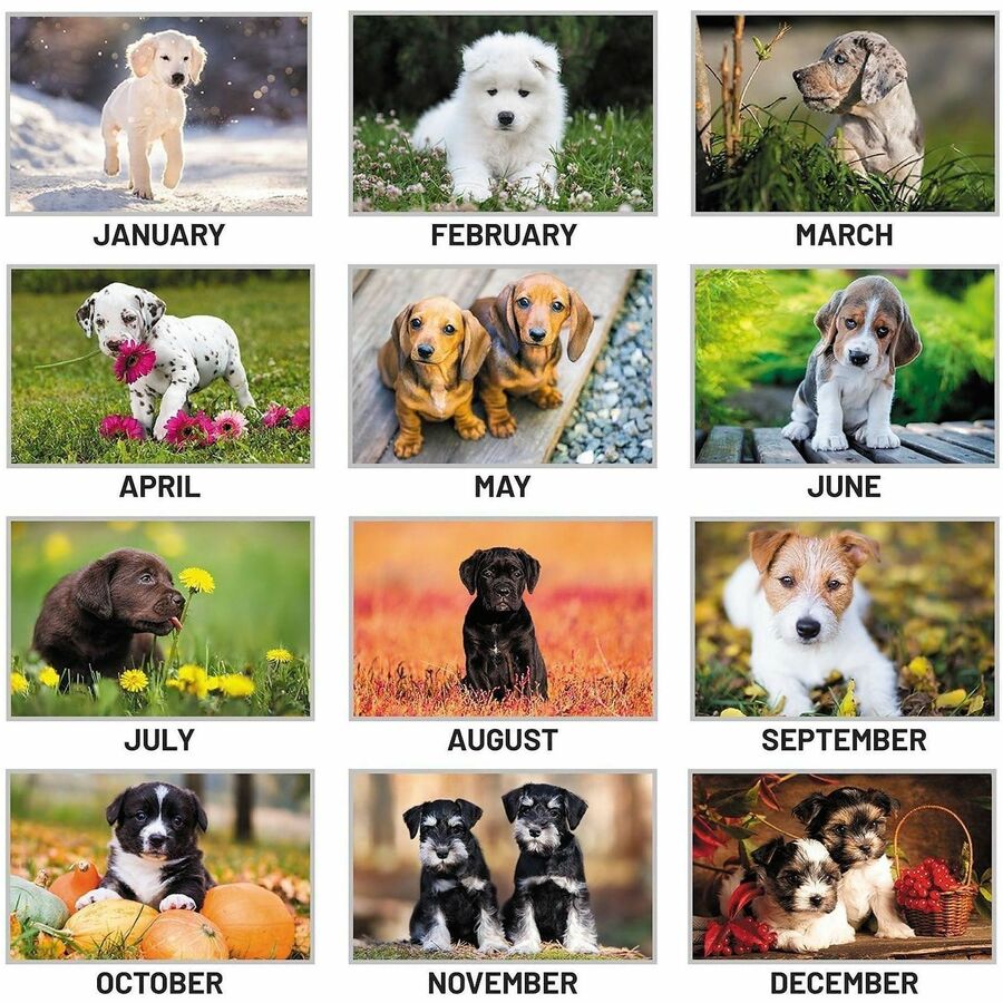 At-A-Glance Puppies Desk Pad