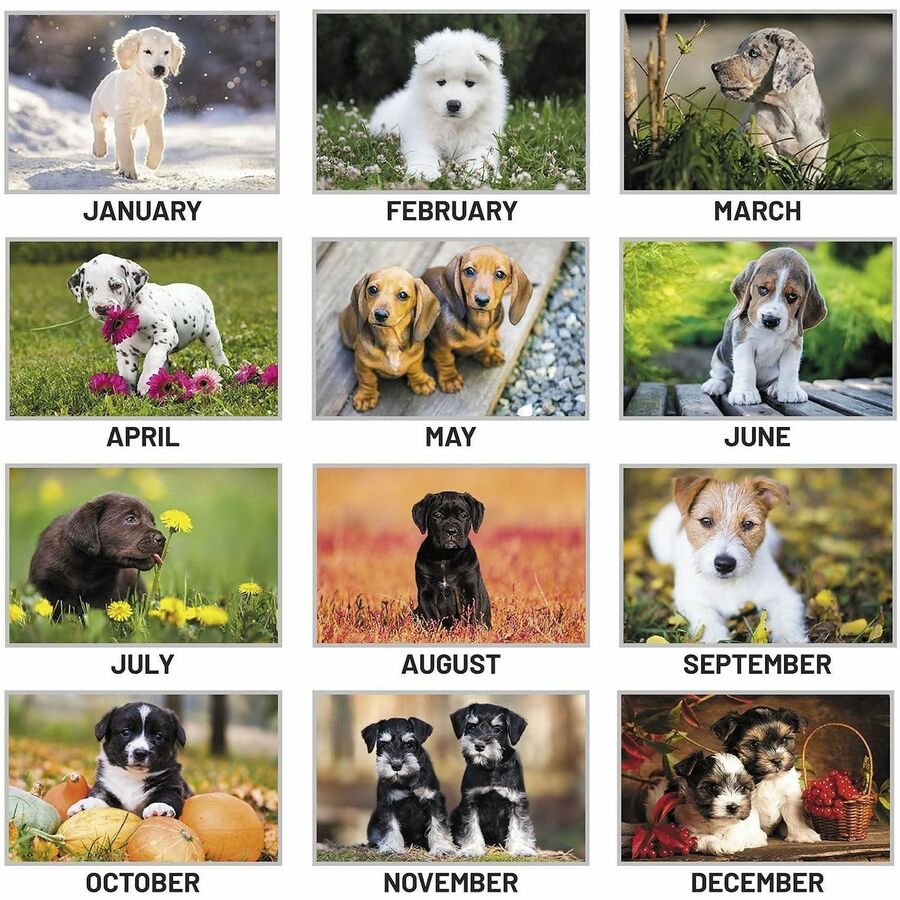 At-A-Glance Puppies Wall Calendar
