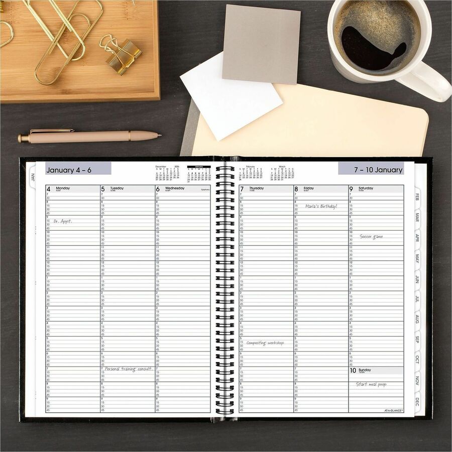At-A-Glance DayMinder Premiere Appointment Book Planner