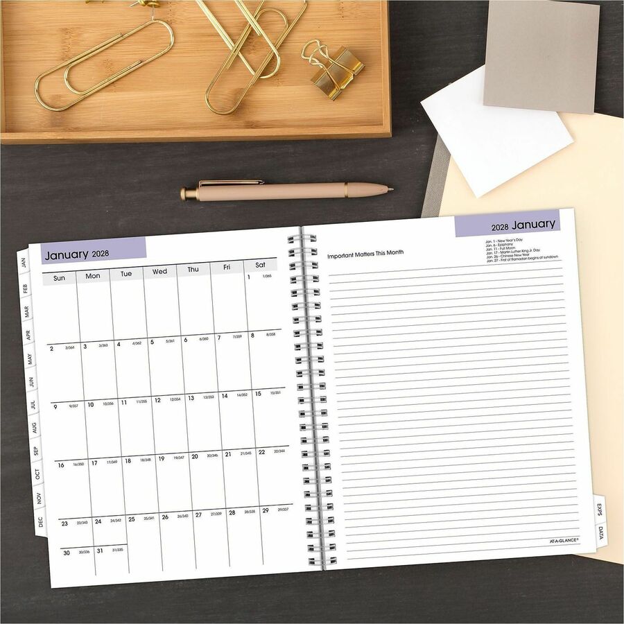 At-A-Glance DayMinder Executive Refill for G545