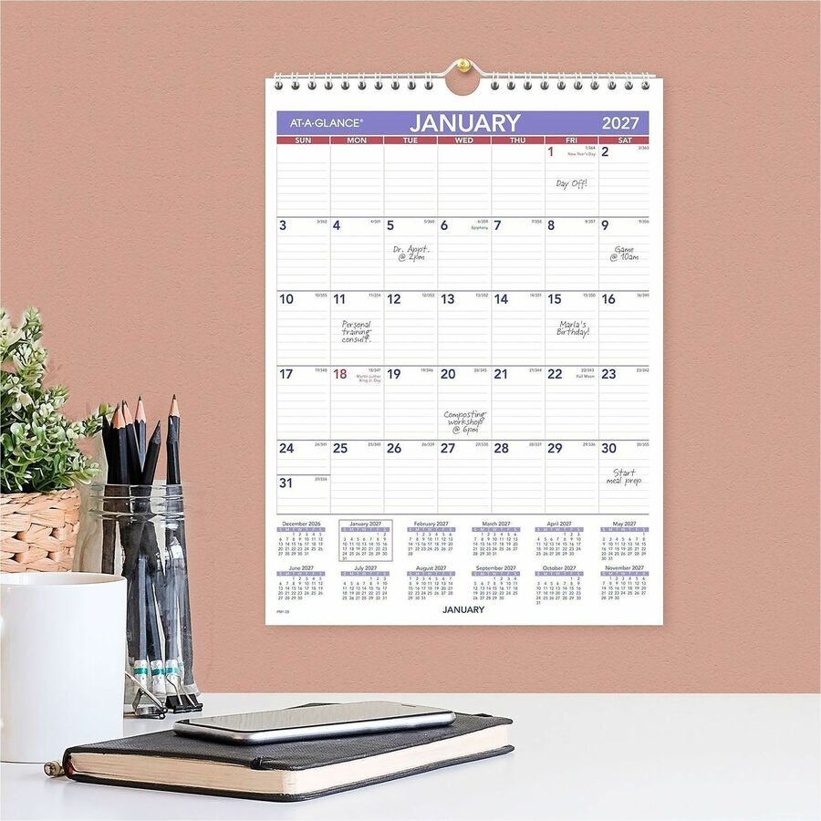 At-A-Glance Wall Calendar, Small, Monthly, January 2026–December 2026, 8" x 11", Wire Bound, White, 1 Each