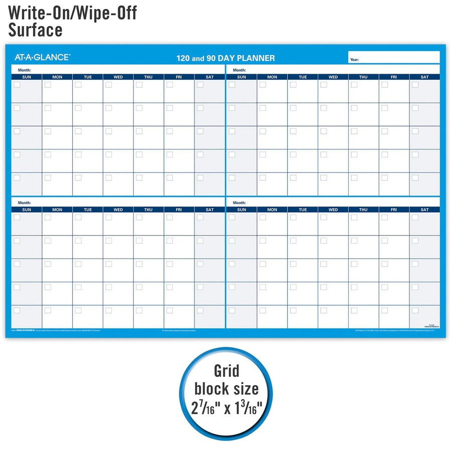 Monthly - 36" x 24" Sheet Size - Blue - Erasable, Laminated - 1 Each