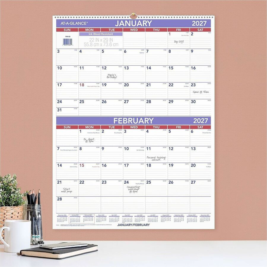 At-A-Glance 2-Month Wall Calendar