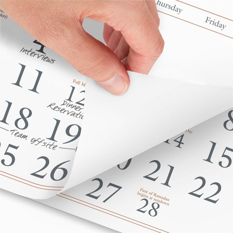 At-A-Glance 3-Month Wall Calendar - Large - Monthly - 15 Month - December 2025 to February 2027 - 3 Month Single Page Layout - 12" x 27" Sheet Size - White Sheet - Wire Bound - Blue, White - Paper - Hanging Loop, Three Month Calendar - 1 Each