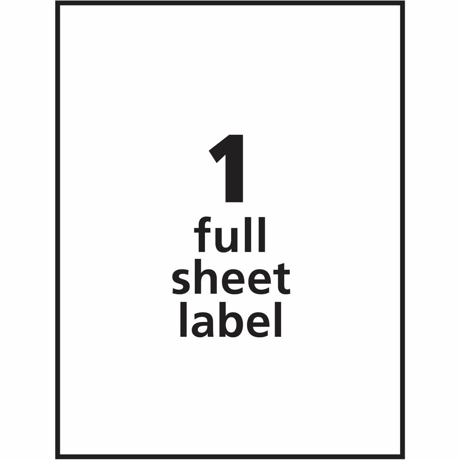 8 1/2" Width x 11" Length - Removable Adhesive - Rectangle - Inkjet, Laser - White - Paper - PVC-free, Removable, Stick & Stay - 1 / Sheet - 25 Total Sheets - 25 Total Label(s) - 25 / Pack