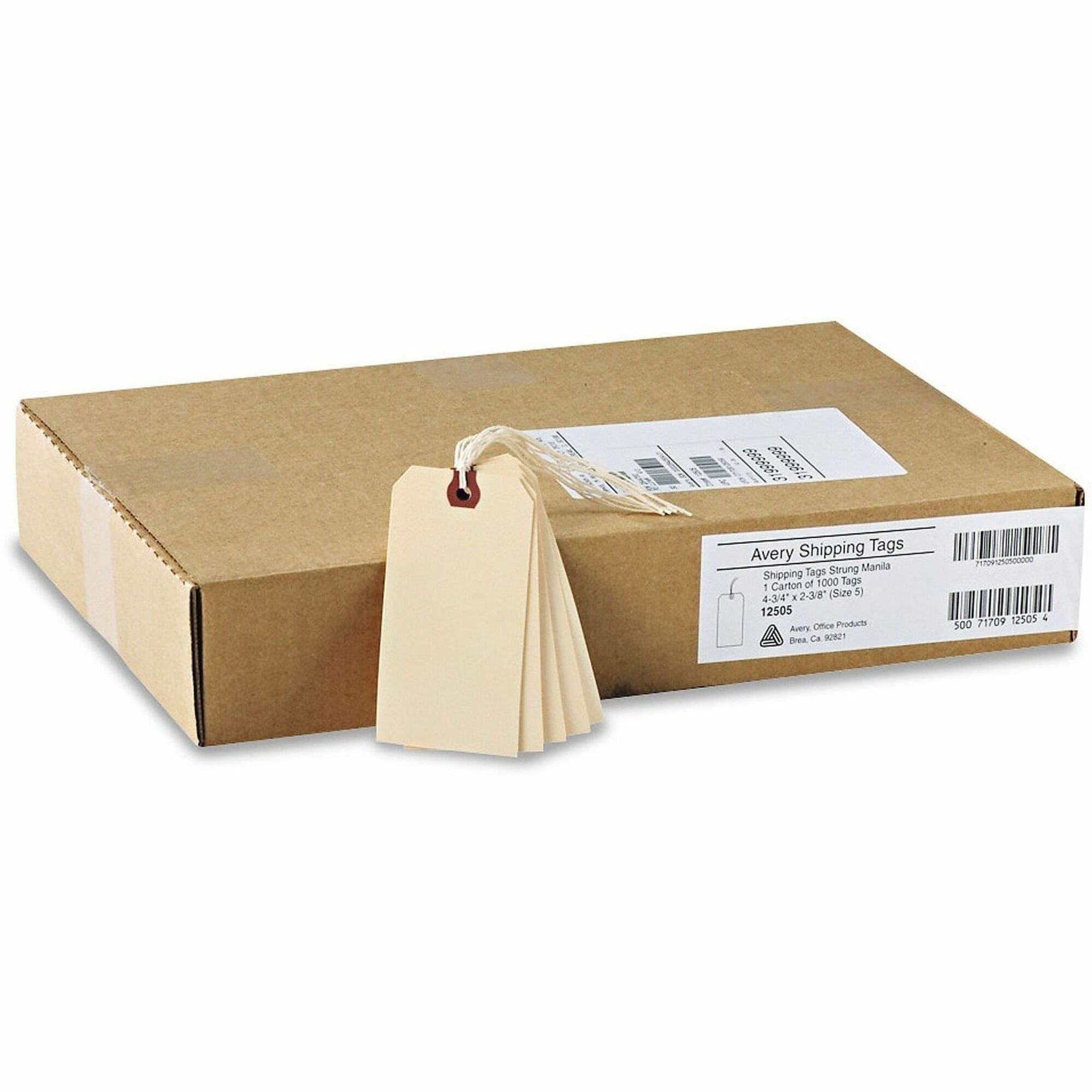 #9 - 4.75" Length x 2.37" Width - Rectangular - String Fastener - Card Stock, Pulp - Manila - 1000 / Box