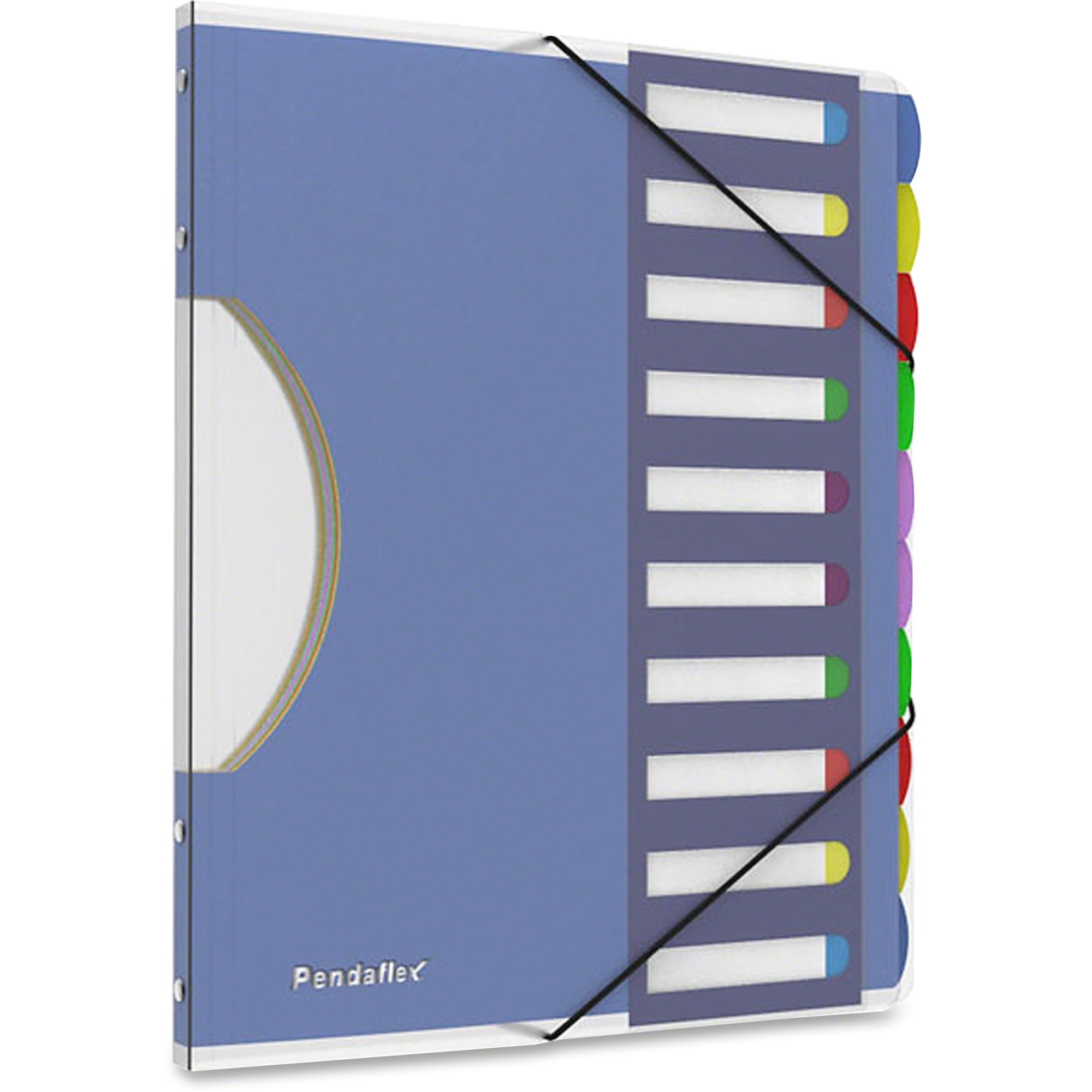 10 x Divider(s) - 10 Tab(s) - 8.5" Divider Width x 11" Divider Length - Letter - Multicolor Divider - Elastic Closure, Moisture Resistant - 1 Each