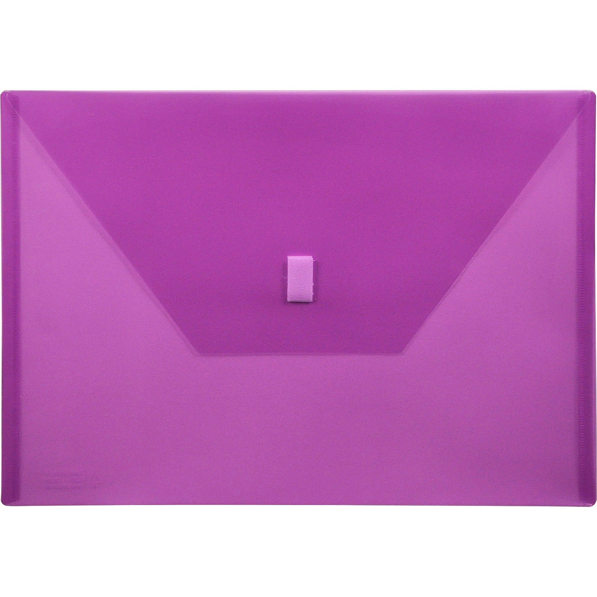 Lion 22080-PR A4 Recycled File Pocket