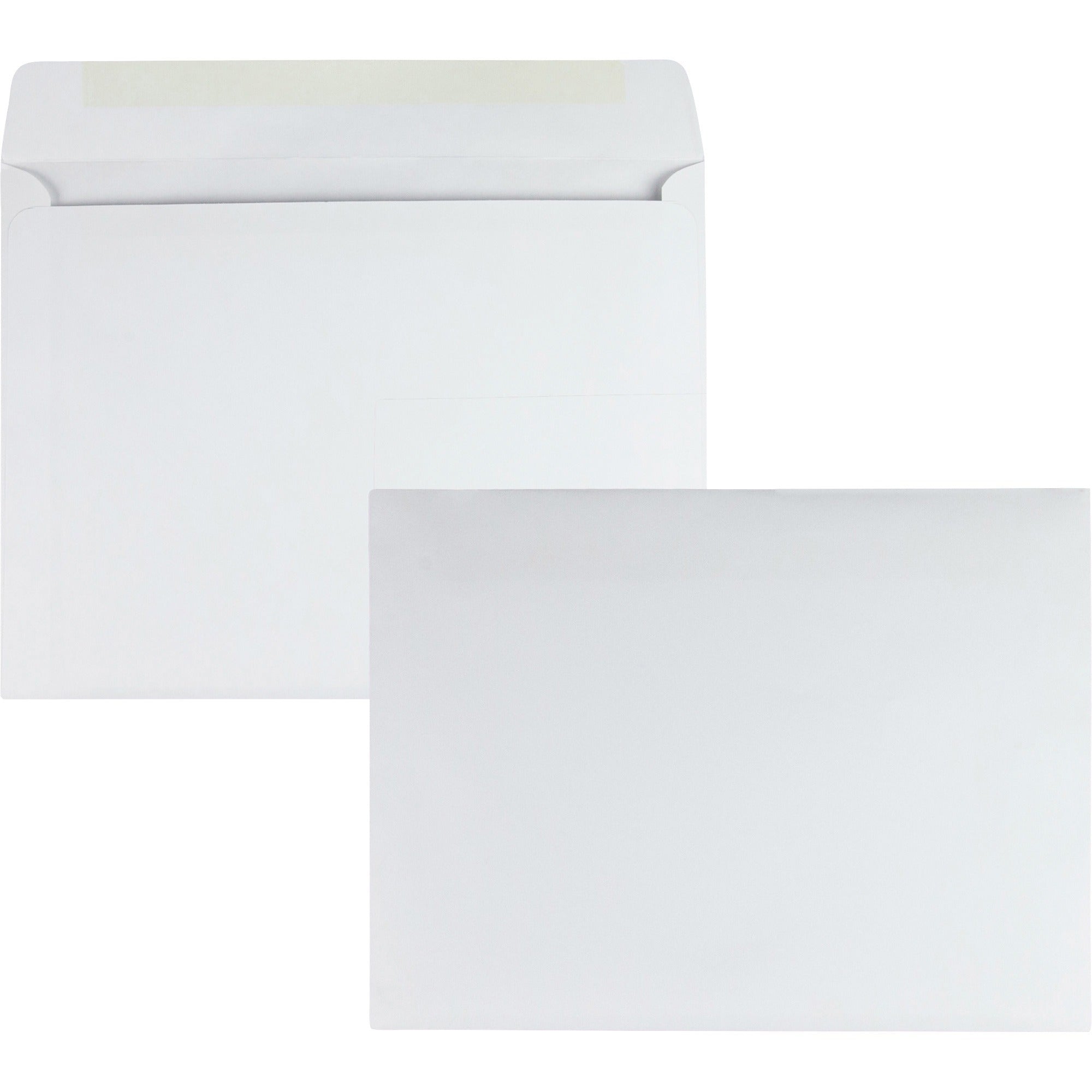 Catalog - #13 - 10" Width x 13" Length - 24 lb - Gummed - White - 100 / Box