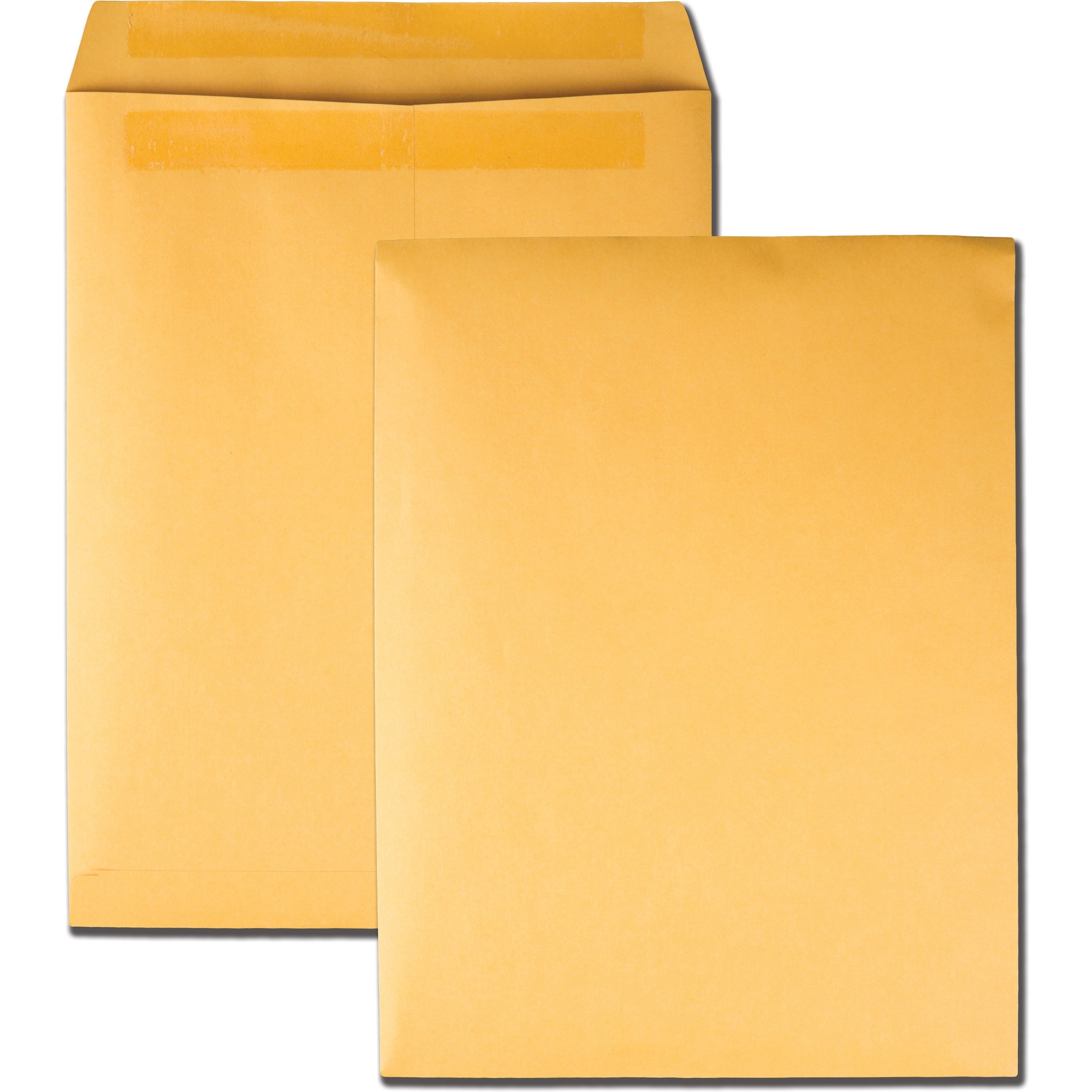 Quality Park 10 x 13 Catalog Envelopes, Self-Seal, 28 lb Kraft, 100/Box