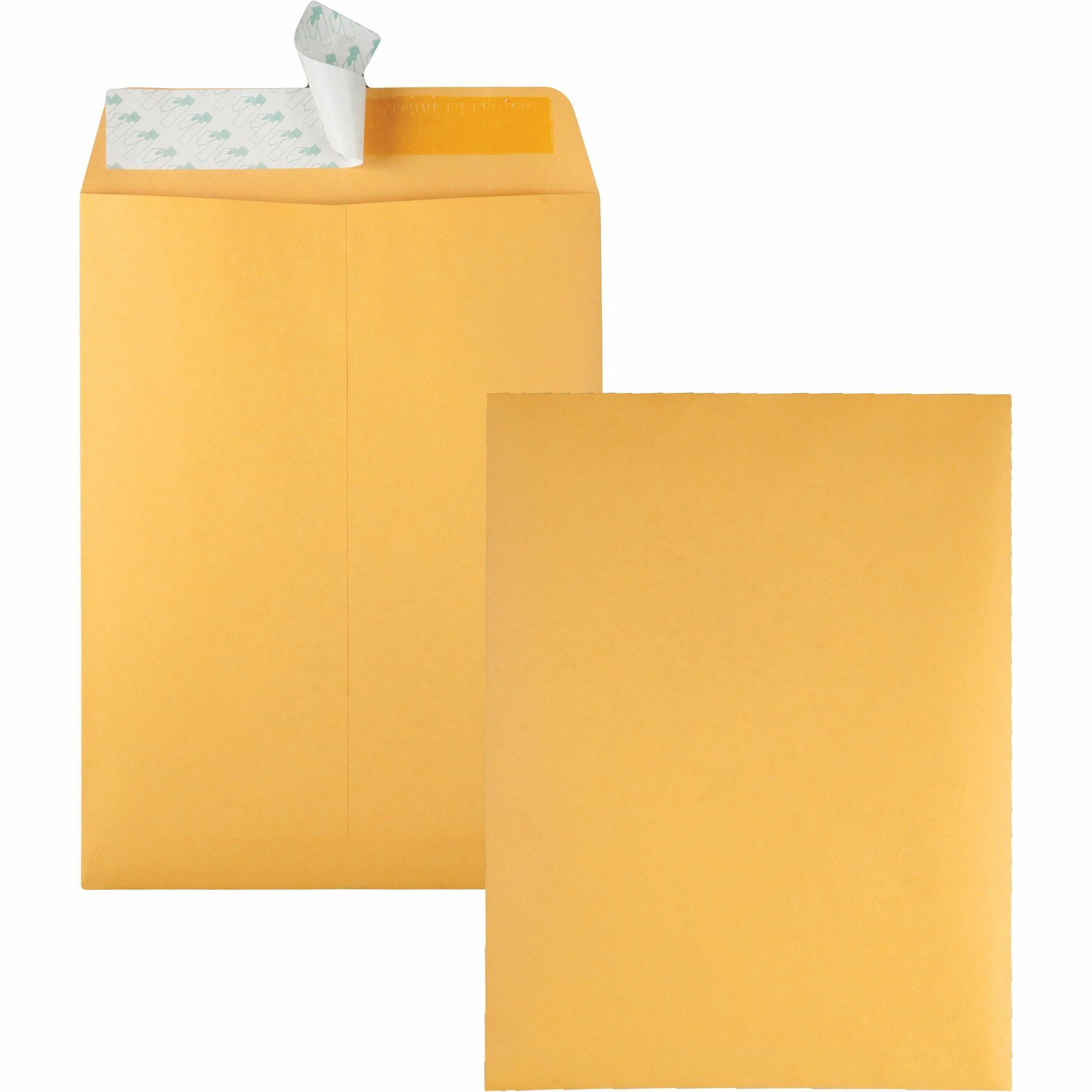 Quality Park 9 x 12 Catalog Envelopes with Redi-Strip&reg; Closure - Catalog - #10 1/2 - 9" Width x 12" Length - 28 lb - Self-sealing - Kraft - Kraft - 100 / Box