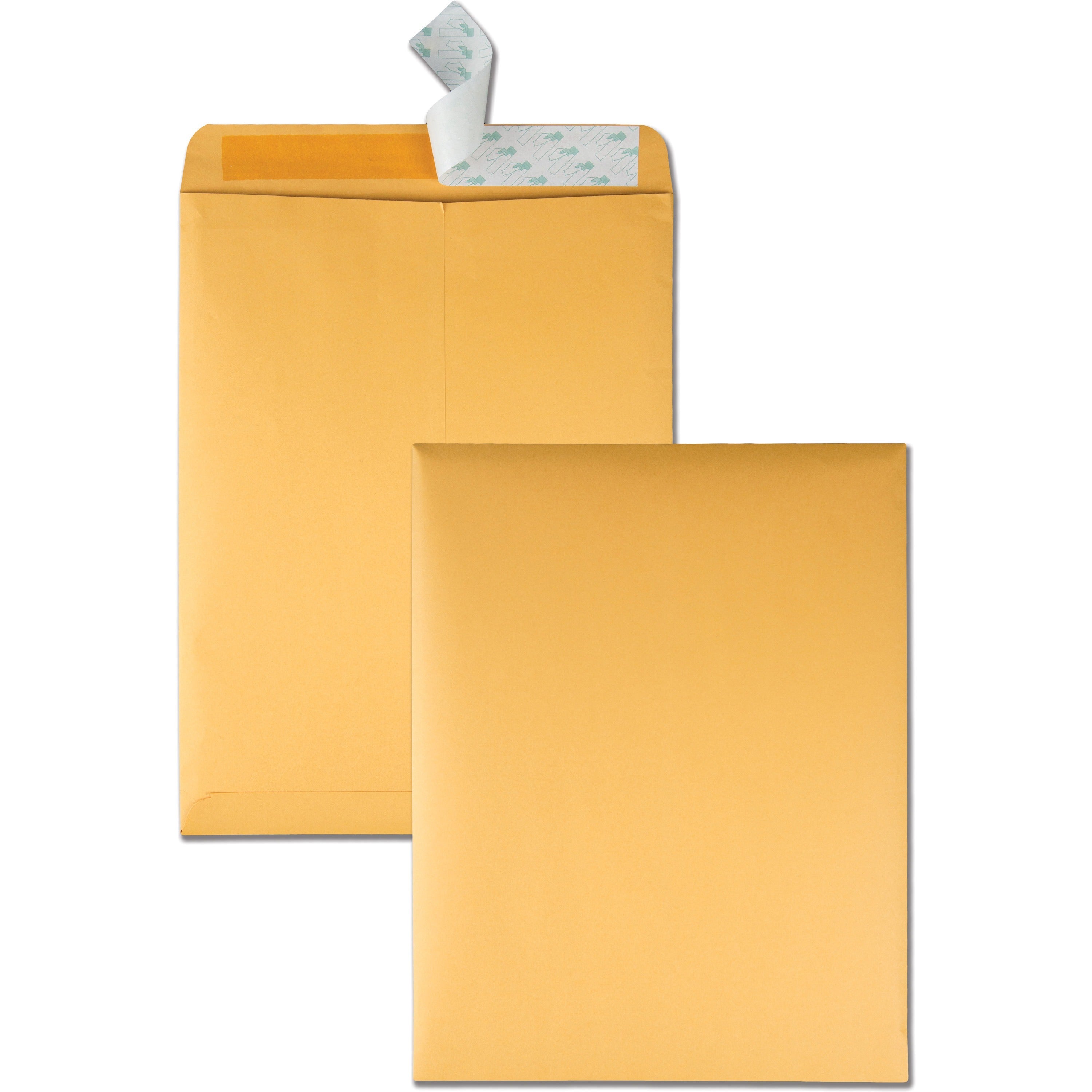 Quality Park 10 x 13 Catalog Envelopes, Self-Seal Closure, 28 lb Kraft, 100/Box