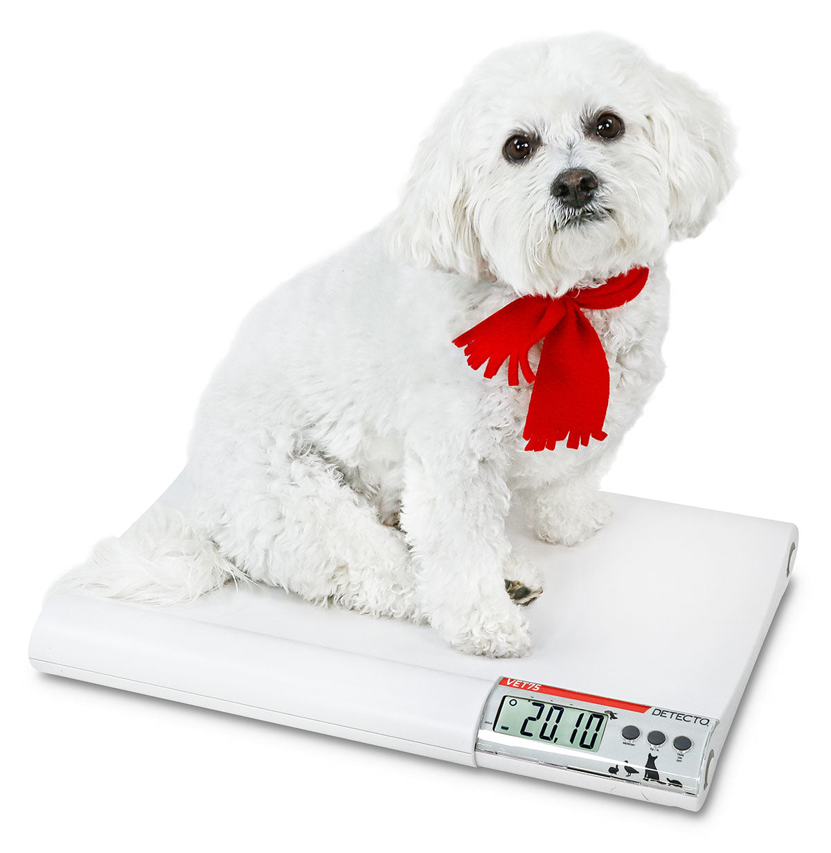 Detecto Veterinary Scale, Electronic, 20" x 14", 75 lb with .02 lb / 31 kg x .01 kg