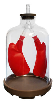 Lung Apparatus, Basic Demonstration Model