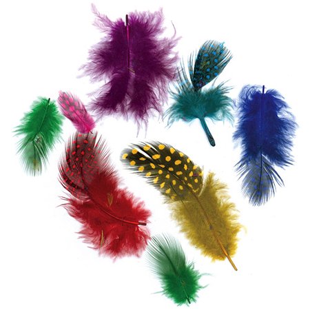 Zucker Guinea Plumage Vibrant Feather Mix