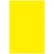 Spectra Deluxe Bleeding Tissue Paper  20 X 30 Inches  Canary Yellow  Pack of 24