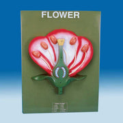Flower Model