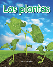 plantas