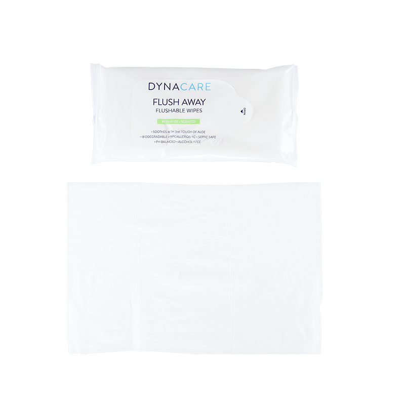 Flushable Wipes - Adult, 9" x 13" Soft Pack - 24 wipes per Pack/24 Packs per Case