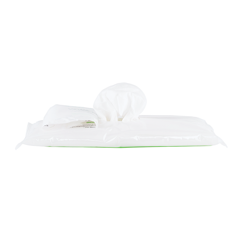 Flushable Wipes - Adult, 9" x 13" Soft Pack - 24 wipes per Pack/24 Packs per Case