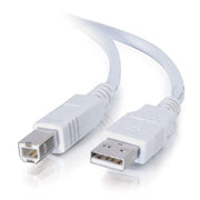 5M Usb 2.0 A B Cable White