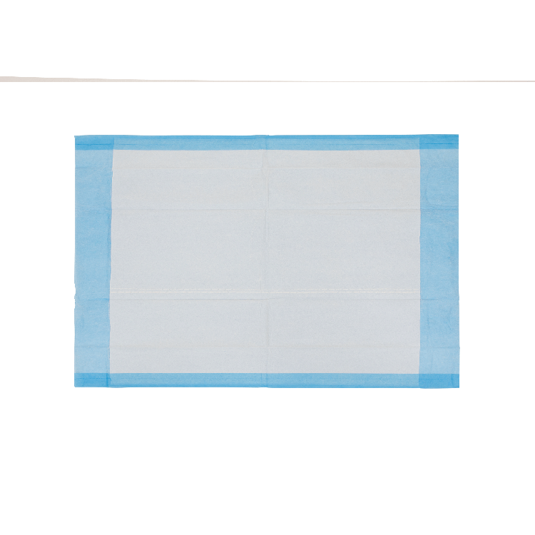 Disposable Underpads - Tissue Fill (2 ply), 17" x 24" - 100 pcs per Bag/3 Bags per Case