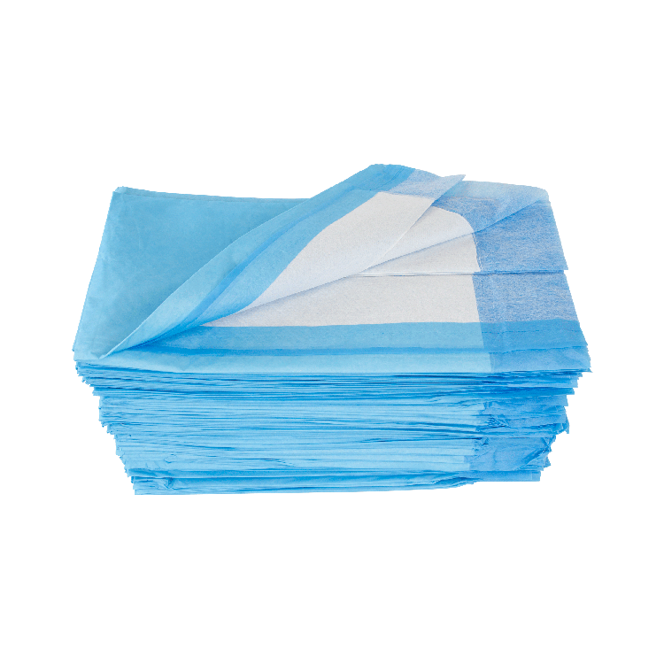 Disposable Underpads - Tissue Fill (2 ply), 17" x 24" - 100 pcs per Bag/3 Bags per Case