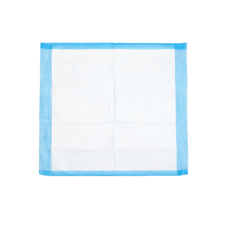 Disposable Underpads, 23" x 24" (31 g) - 100 pcs per Bag/2 Bags per Case