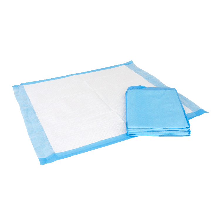 Disposable Underpads, 23" x 24" (31 g) - 100 pcs per Bag/2 Bags per Case