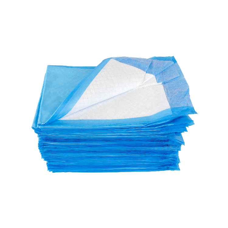 Disposable Underpads, 23" x 24" (31 g) - 100 pcs per Bag/2 Bags per Case