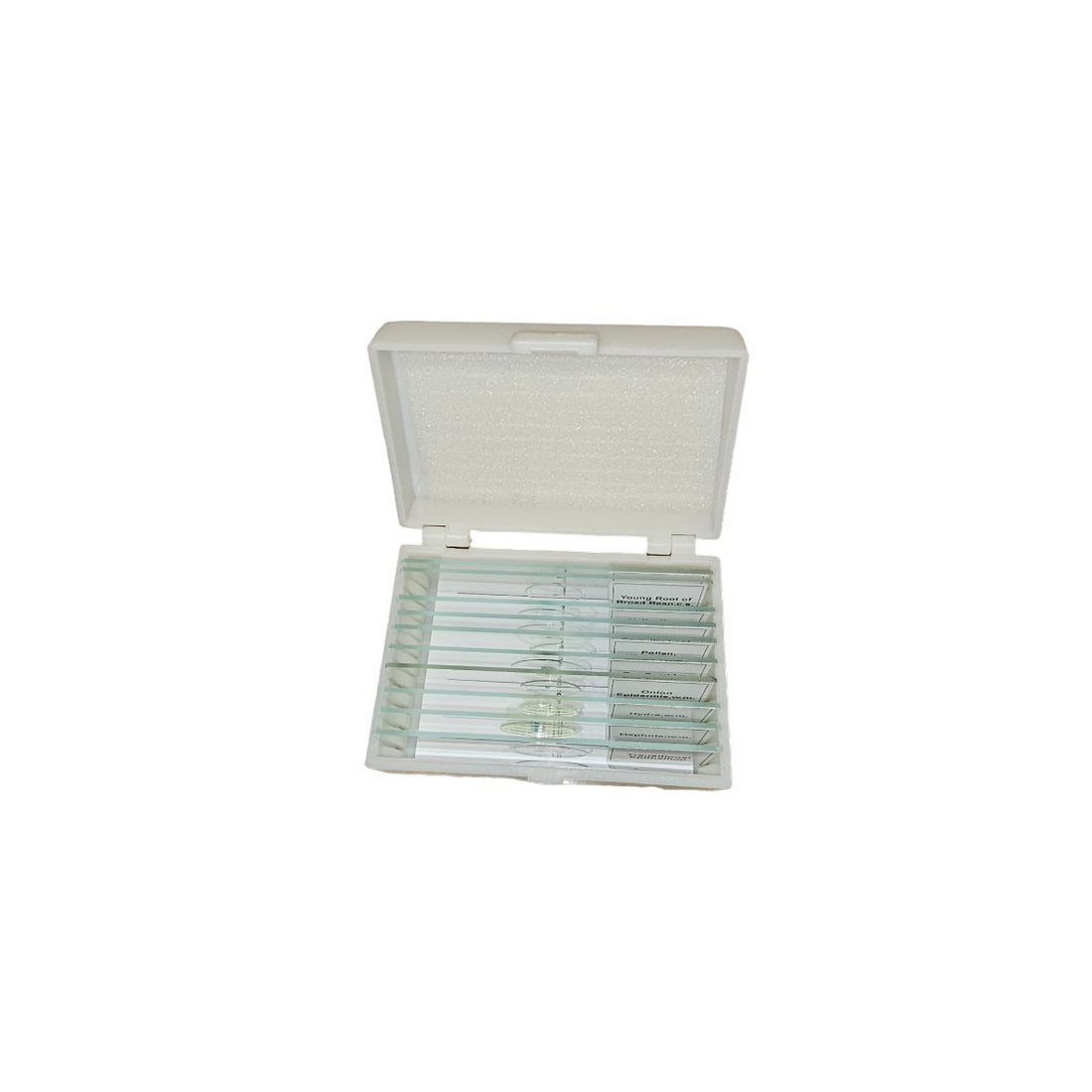 Microscope Slide: Animal Set - 10 Slides