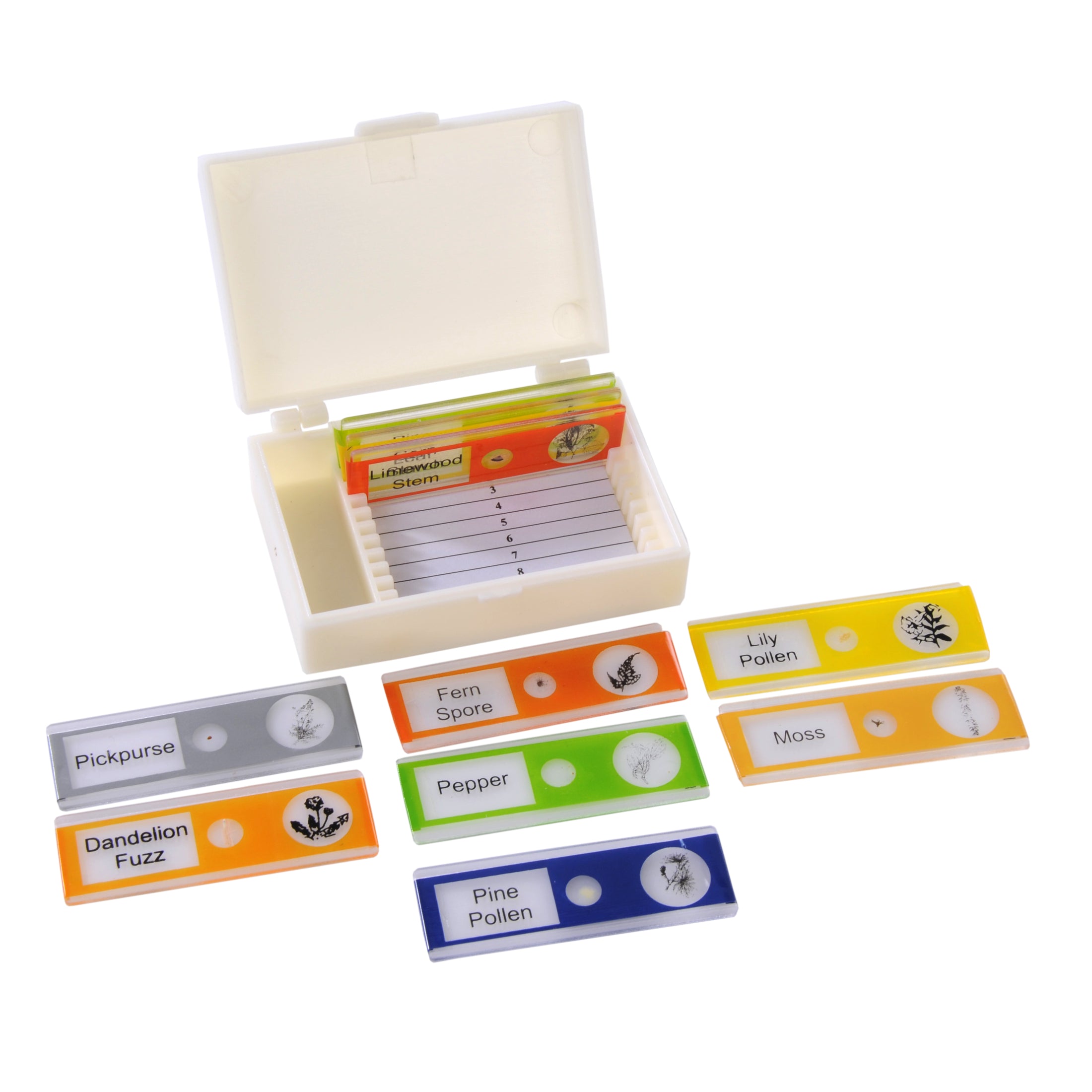 Microscope Slide Set, Plastic, Plants Set 10 slides