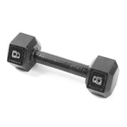 CAP 8 lb Black HEX Cast Iron Dumbbell