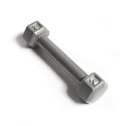 CAP 2 lb Cast Iron Dumbbell, Gray