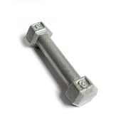 CAP 3 lb Cast Iron Dumbbell, Gray
