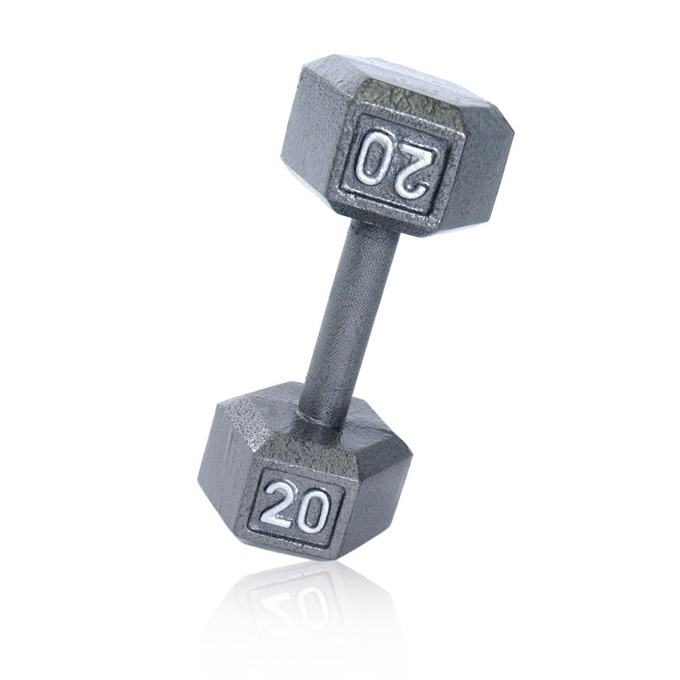 CAP 20 lb Cast Iron Dumbbell, Gray