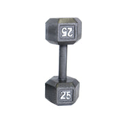 CAP 25 lb Cast Iron Dumbbell, Gray