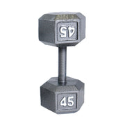 CAP 45 lb Cast Iron Dumbbell, Gray
