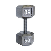 CAP 50 lb Cast Iron Dumbbell, Gray