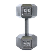 CAP 55 lb Cast Iron Dumbbell, Gray