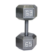 CAP 65 lb Cast Iron Dumbbell, Gray