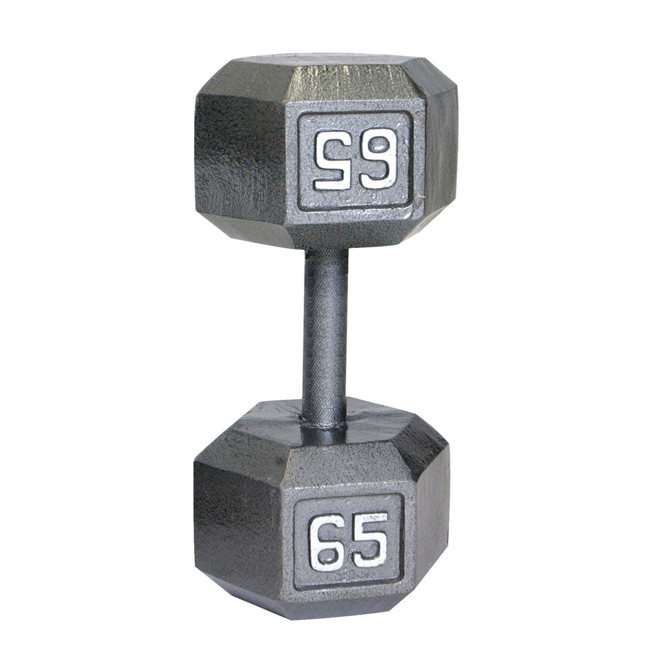 CAP 65 lb Cast Iron Dumbbell, Gray