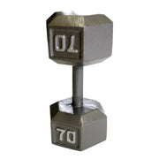 CAP 70 lb Cast Iron Dumbbell, Gray