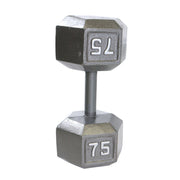 CAP 75 lb Cast Iron Dumbbell, Gray