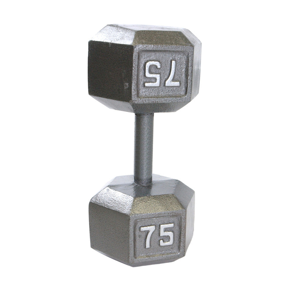 CAP 75 lb Cast Iron Dumbbell, Gray