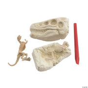 Dig & Discover Excavation Dinosaur Head - 12 Pieces