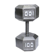 CAP 100 lb Cast Iron Dumbbell, Gray