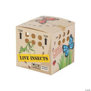 Backyard Adventure Treat Box - 12 Pieces