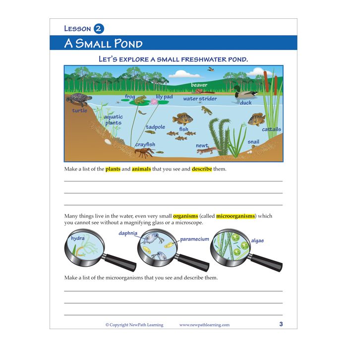 Ecosystems Learning Guide - Set of 10