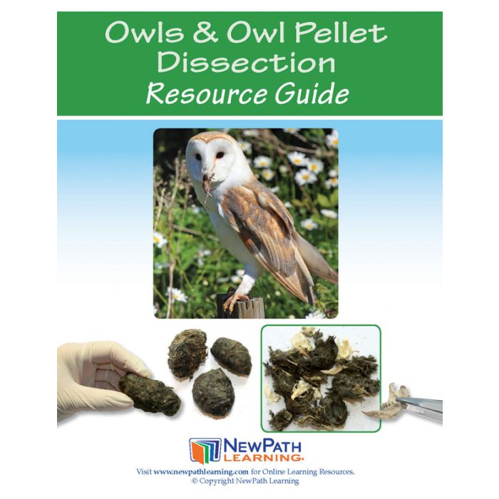 Owls & Owl Pellet Dissection Resource Guide - Set of 10